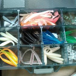 ポイッとして落としたらコンッ☺